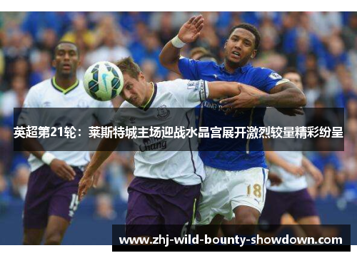 英超第21轮：莱斯特城主场迎战水晶宫展开激烈较量精彩纷呈